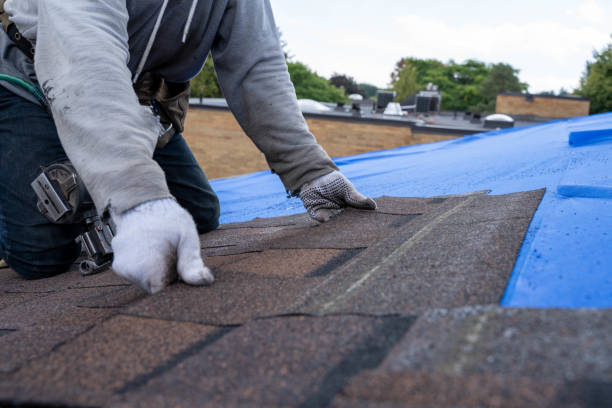 Best Emergency Roof Repair  in Winfield, AL
