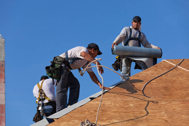 Best Emergency Roof Repair  in Winfield, AL